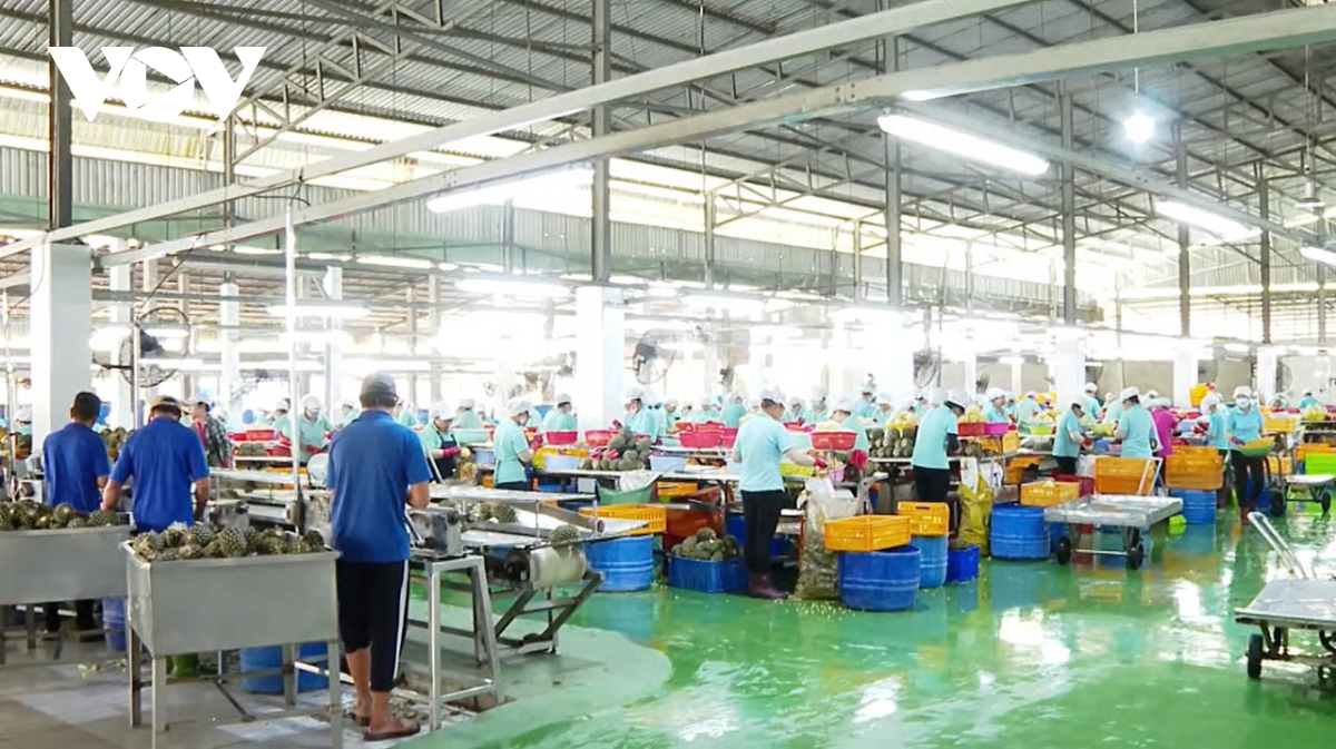 Quý 1 giá trị sản xuất công nghiệp Vĩnh Long tăng khá